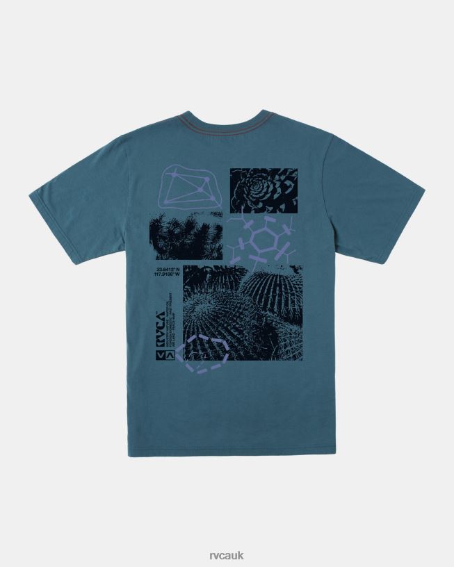 duck blue Ethnobotony Tee Men L888X203 RVCA Clothing