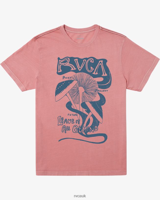 flamingo Leave Behind T-Shirt Men L888X471 RVCA Clothing