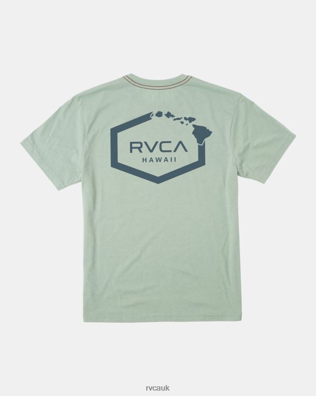 green haze Hawaii Hex Tee Men L888X133 RVCA Clothing
