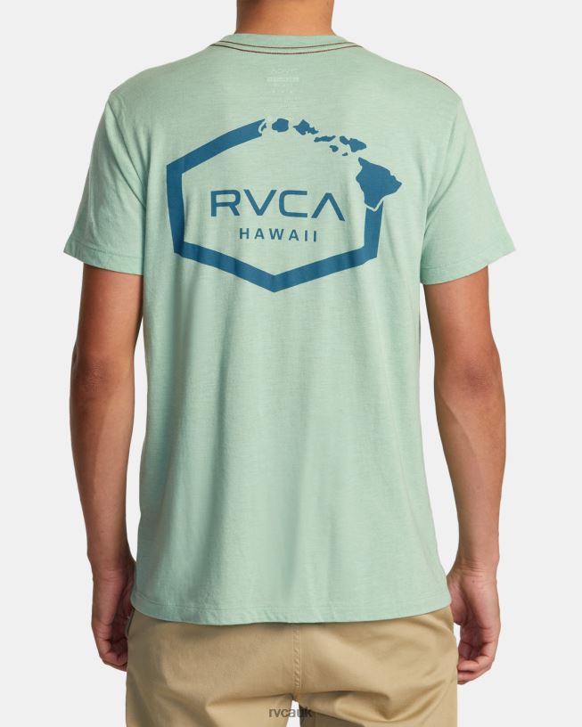 green haze Hawaii Hex Tee Men L888X133 RVCA Clothing