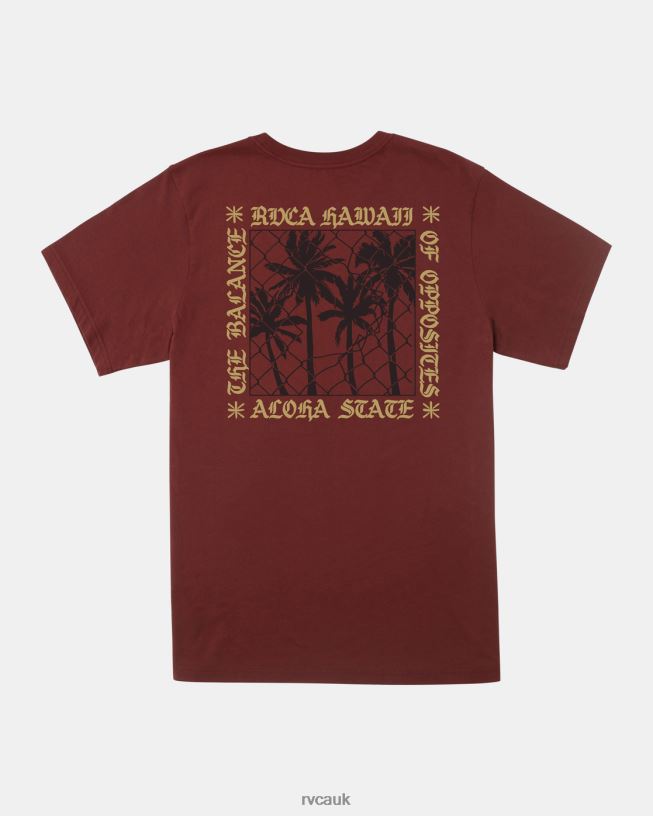 red earth Aloha Fence T-Shirt Men L888X454 RVCA Clothing